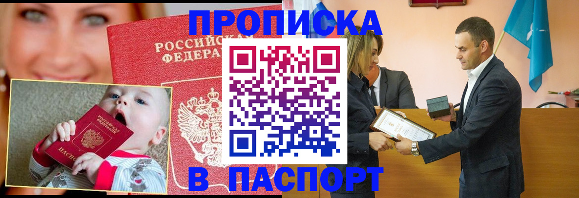 прописка поиск в Стародубе